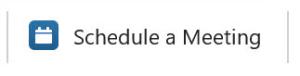 A blue calendar icon and the words Schedule a Meeting